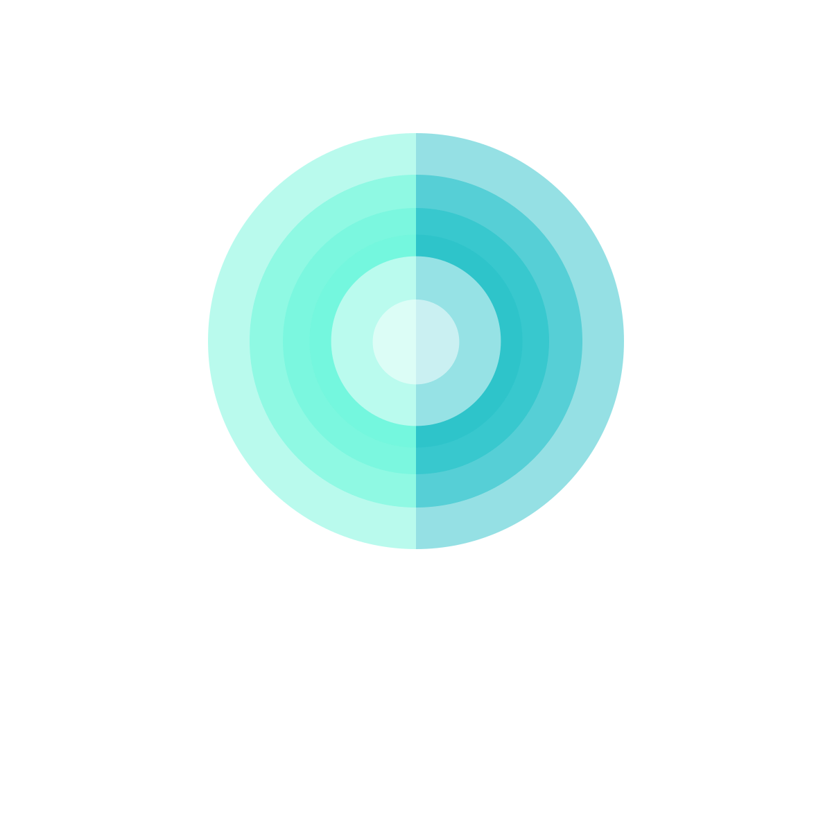 SPYDER logo